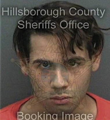 Jeffrey Anstead, - Hillsborough County, FL 