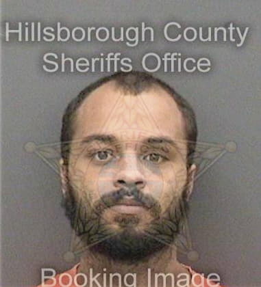 Perry Austin, - Hillsborough County, FL 