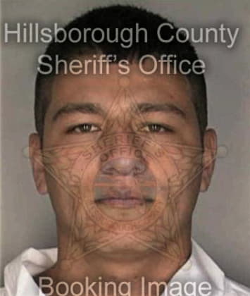 Javier Beltrandes, - Hillsborough County, FL 