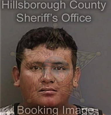 Michel Burgos-Perez, - Hillsborough County, FL 