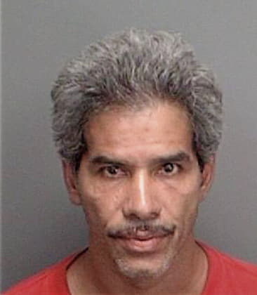 Honorio Hidalgolopez, - Pinellas County, FL 