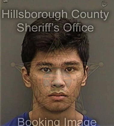 Nathan Kong, - Hillsborough County, FL 