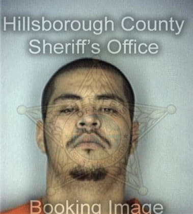 Charles McAfee - Hillsborough County, FL 