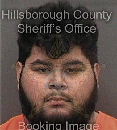 Shaun Sullivan, - Hillsborough County, FL 