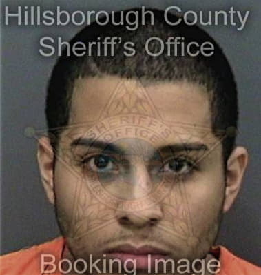 Johnny Carnegie, - Hillsborough County, FL 