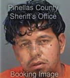 Francisco Cortezgarcia, - Pinellas County, FL 