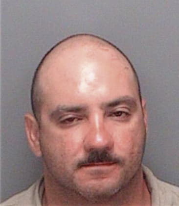 Julian Palacio, - Pinellas County, FL 