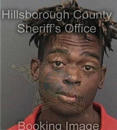 Phillip Reeves, - Hillsborough County, FL 