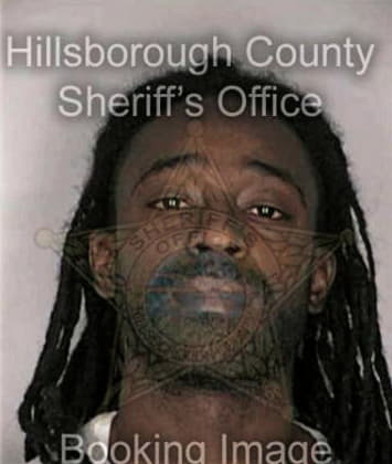 Theodore Roberts - Hillsborough County, FL 