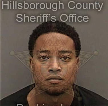 Vincent Robinson, - Hillsborough County, FL 