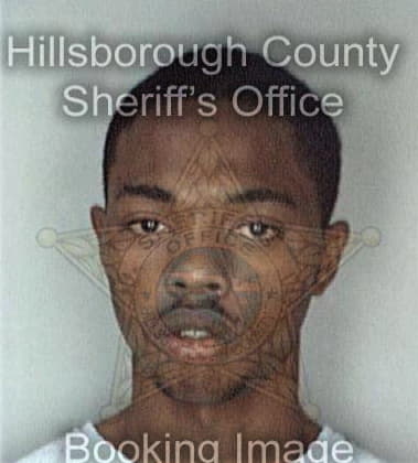 Rodney Williams, - Hillsborough County, FL 