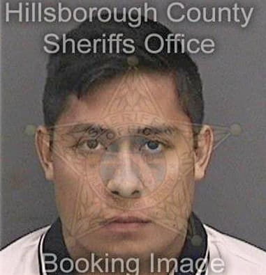 Kevin Cowens, - Hillsborough County, FL 