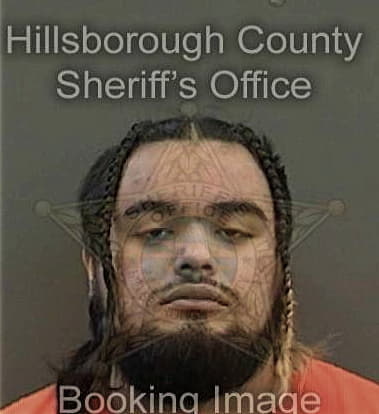 Sherif Elganainy, - Hillsborough County, FL 