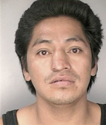 Enrique Hernandez - Hillsborough County, FL 