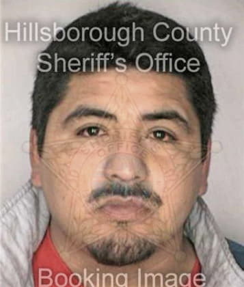 Carman McLendon - Hillsborough County, FL 