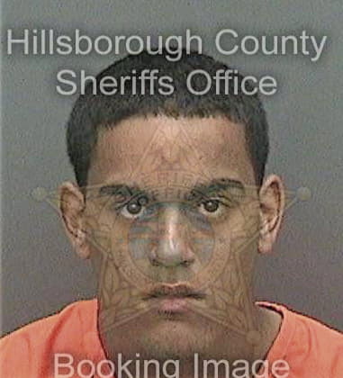 Marvin McLendon - Hillsborough County, FL 