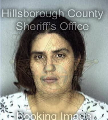 Glenda Metzmeier - Hillsborough County, FL 