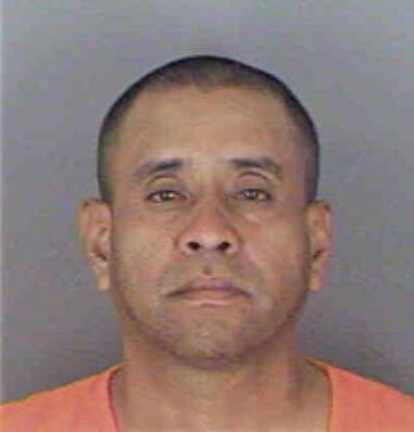 Julio Pagan, - Collier County, FL 