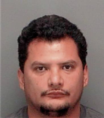 Leonardo Penacruz, - Pinellas County, FL 