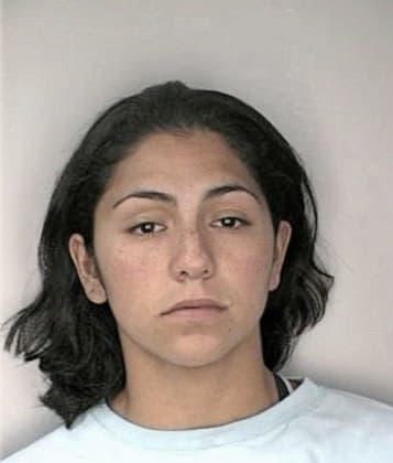 Yazmin Sanchez, - Hillsborough County, FL 