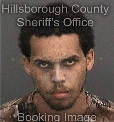 Mcclendon Shaw, - Hillsborough County, FL 