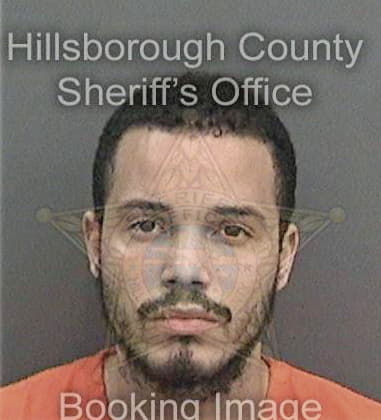 Robert Simmons, - Hillsborough County, FL 