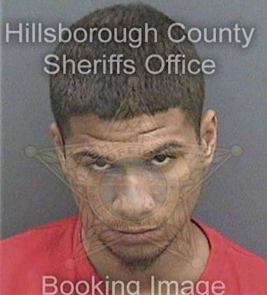 Michael Belcher, - Hillsborough County, FL 