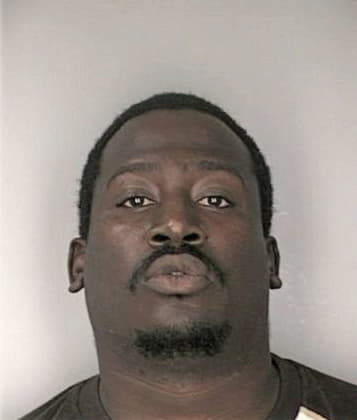 Girardo Bravo - Hillsborough County, FL 