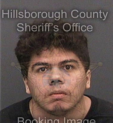 Gregory Carter, - Hillsborough County, FL 