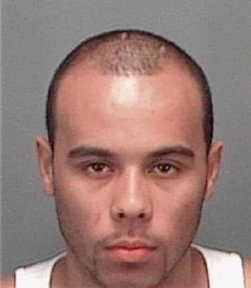 Raul Garciaperez, - Pinellas County, FL 