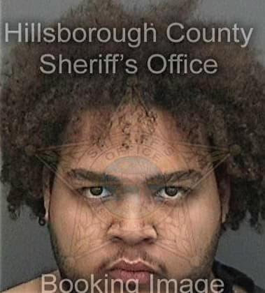 Kyle McQuagge - Hillsborough County, FL 