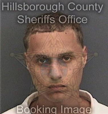 Joshua Swack, - Hillsborough County, FL 