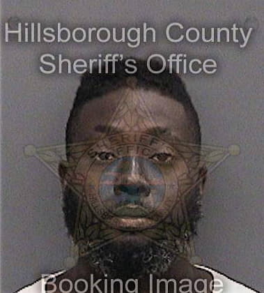 Deterrio Young, - Hillsborough County, FL 