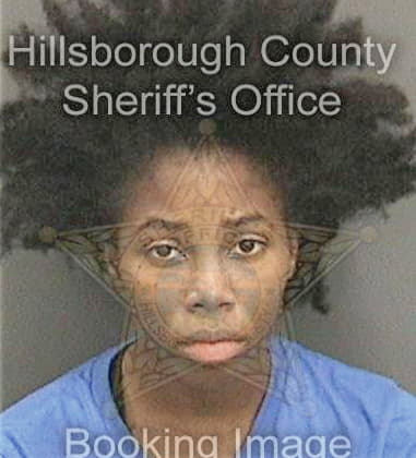 Marie Celestin, - Hillsborough County, FL 