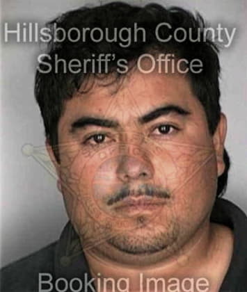 Sean Chitwood - Hillsborough County, FL 