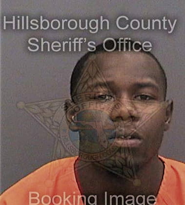 Garret Johnson, - Hillsborough County, FL 