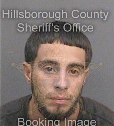 Anibal Lopezgutierrez, - Hillsborough County, FL 