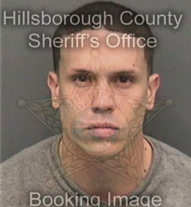 Jimmy Lopezsanchez, - Hillsborough County, FL 