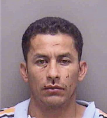 Saul Montes, - Lee County, FL 