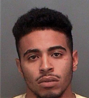 Cortez Nolton, - Pinellas County, FL 