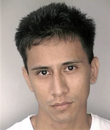 Tomas Avalopalacios, - Hillsborough County, FL 