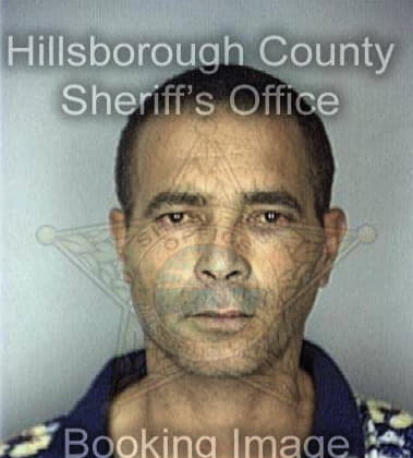 David Ferreriagarcia, - Hillsborough County, FL 