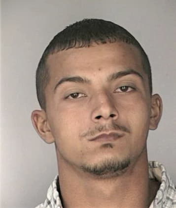 Rommel Flores, - Hillsborough County, FL 