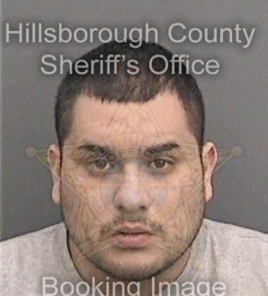 Nicholas Ingram, - Hillsborough County, FL 