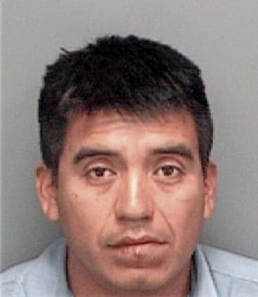 Miguel Pelaxtla, - Pinellas County, FL 