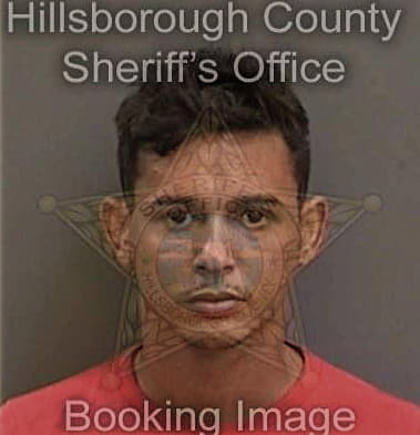 Ryan Baumgartner, - Hillsborough County, FL 