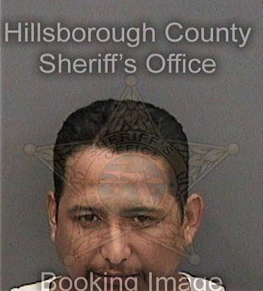 Dominic Clark - Hillsborough County, FL 