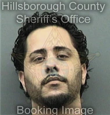 Donald Dale, - Hillsborough County, FL 