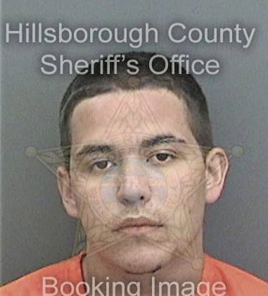 Anthony Fernandez, - Hillsborough County, FL 