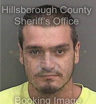 Timothy Ledford, - Hillsborough County, FL 